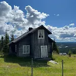 Modern Mountain In Tisleidalen, Golsfjellet بيت للعطل *