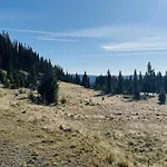 Modern Mountain In Tisleidalen, Golsfjellet بيت للعطل *