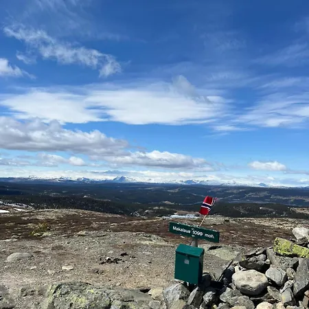 Modern Mountain In Tisleidalen, Golsfjellet Feriehus *