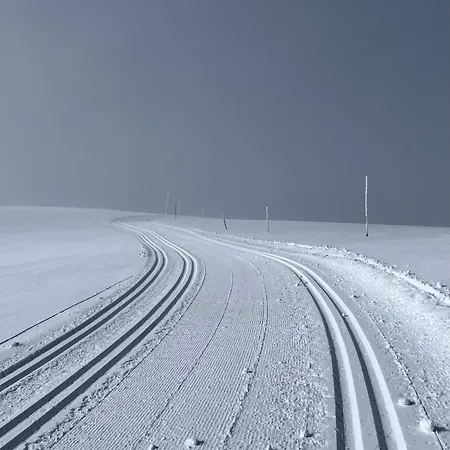 Feriehus Modern Mountain In Tisleidalen, Golsfjellet