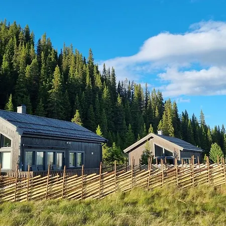 Feriehus Modern Mountain In Tisleidalen, Golsfjellet Gol