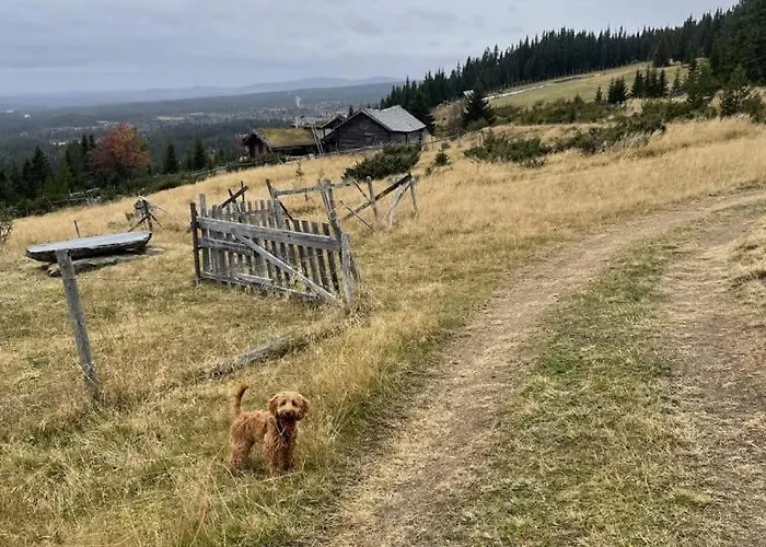 Modern Mountain In Tisleidalen, Golsfjellet