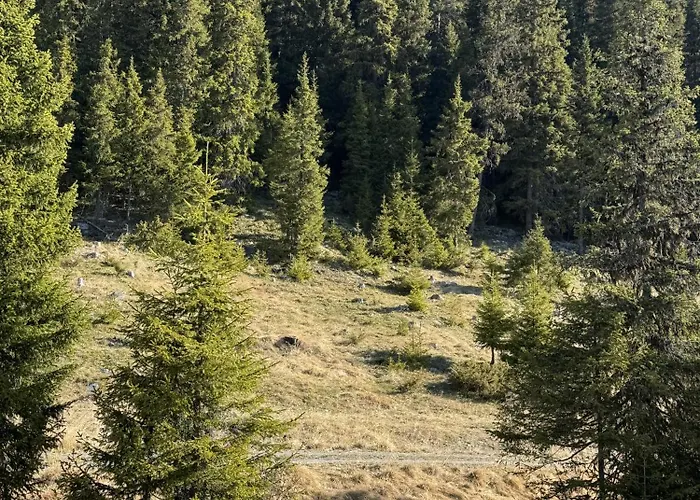 Modern Mountain In Tisleidalen, Golsfjellet Гуль