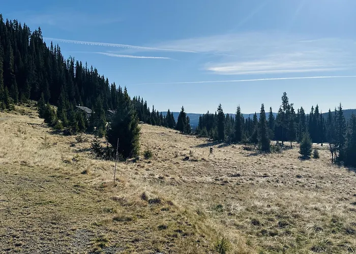 Modern Mountain In Tisleidalen, Golsfjellet Дом отдыха *