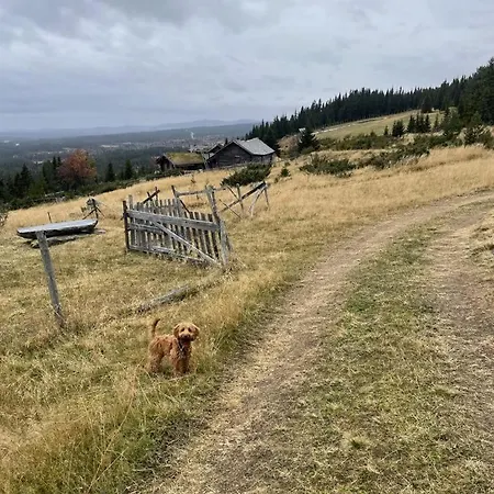 Modern Mountain In Tisleidalen, Golsfjellet