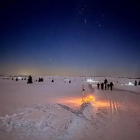 Modern Mountain In Tisleidalen, Golsfjellet Vakantiehuis Gol