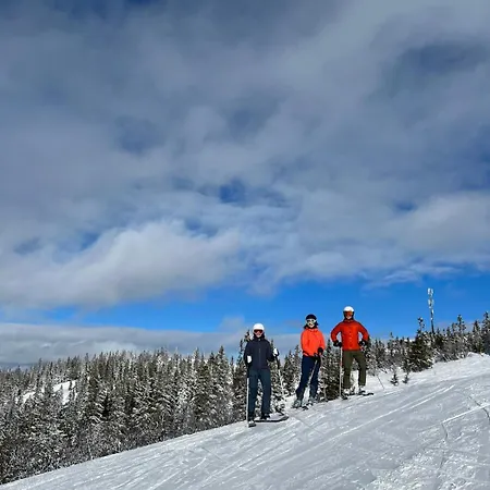 Modern Mountain In Tisleidalen, Golsfjellet Vakantiehuis