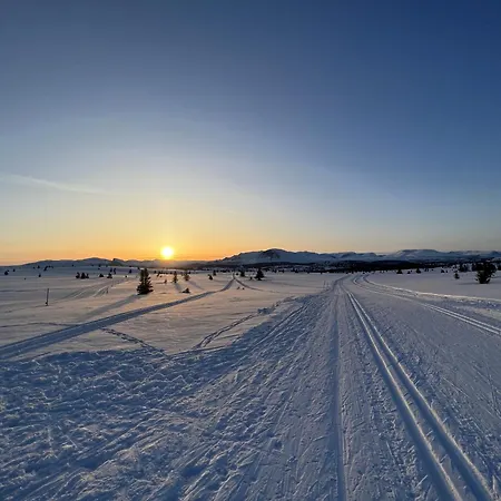 Modern Mountain In Tisleidalen, Golsfjellet Vakantiehuis