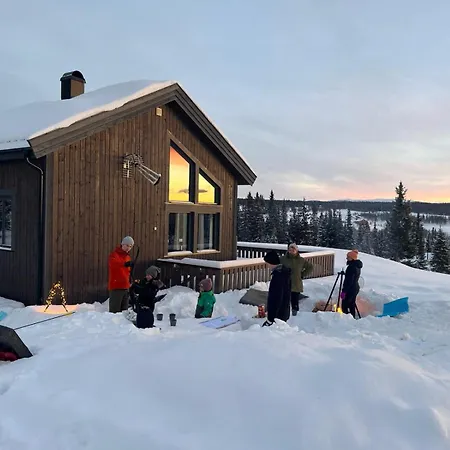 Modern Mountain In Tisleidalen, Golsfjellet Vakantiehuis *