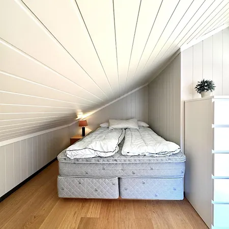 Vakantiehuis Modern Mountain In Tisleidalen, Golsfjellet Gol