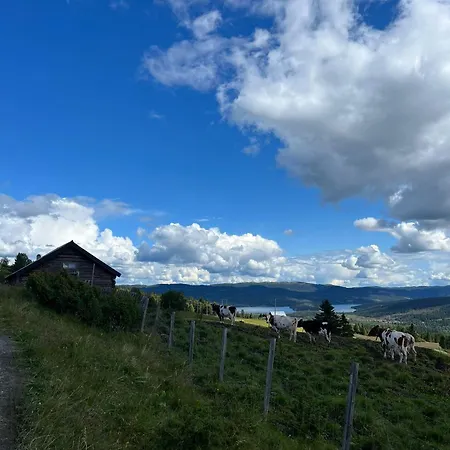 Modern Mountain In Tisleidalen, Golsfjellet *