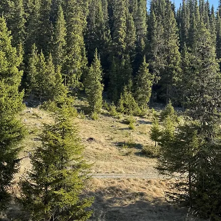 Modern Mountain In Tisleidalen, Golsfjellet Gol