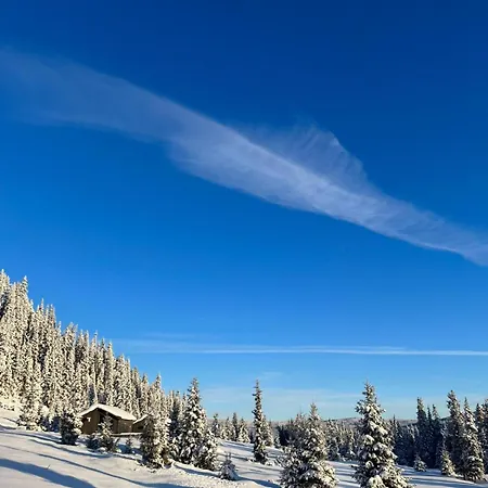Modern Mountain In Tisleidalen, Golsfjellet