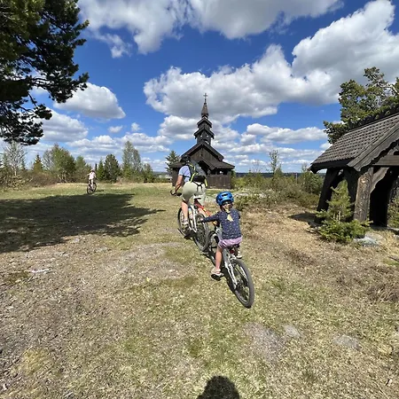 Modern Mountain In Tisleidalen, Golsfjellet * Gol