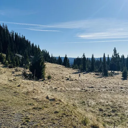 Modern Mountain In Tisleidalen, Golsfjellet Vakantiehuis *