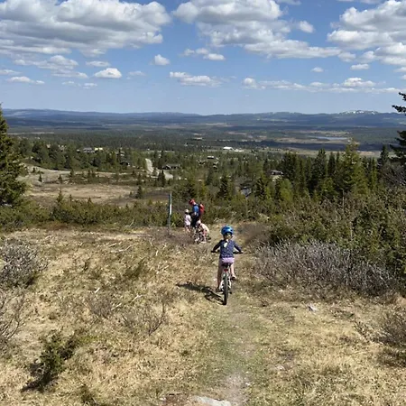 Modern Mountain In Tisleidalen, Golsfjellet *