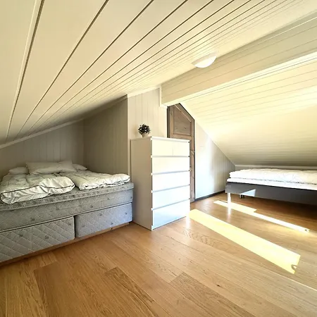 Vakantiehuis Modern Mountain In Tisleidalen, Golsfjellet Gol