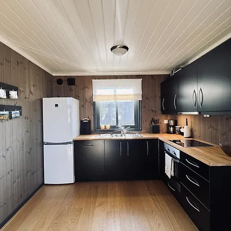 Vakantiehuis Modern Mountain In Tisleidalen, Golsfjellet