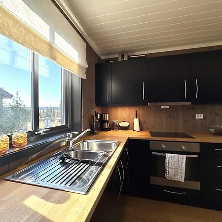 Vakantiehuis Modern Mountain In Tisleidalen, Golsfjellet *