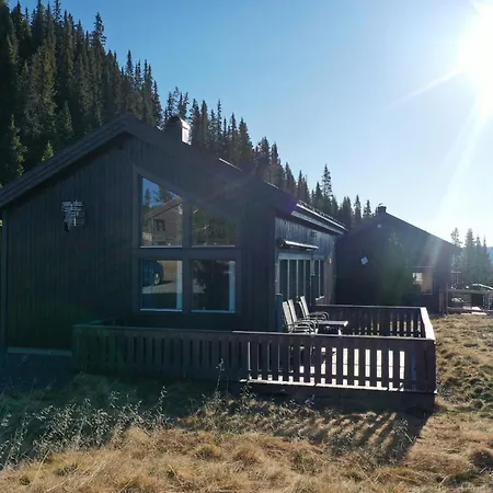 Modern Mountain In Tisleidalen, Golsfjellet Gol